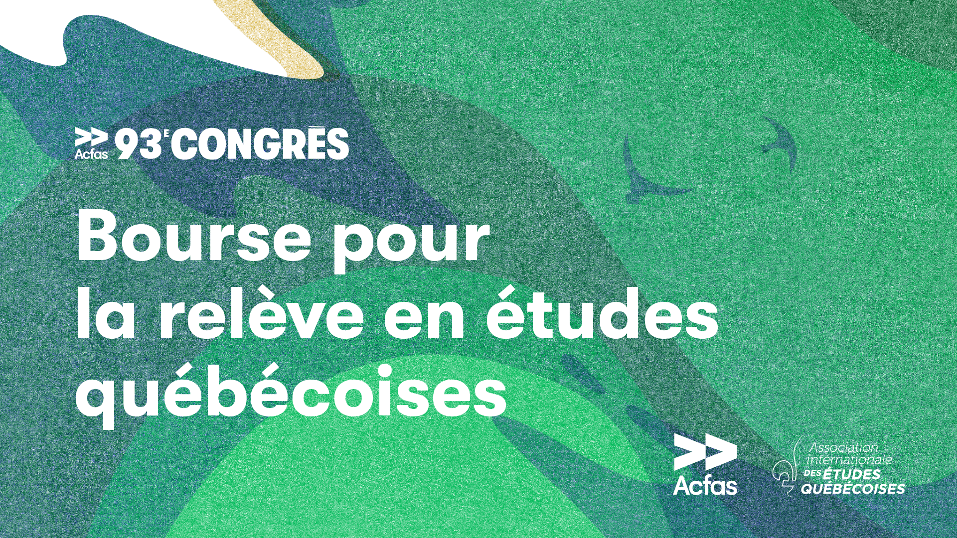 Bourse pour la relève en études québécoises