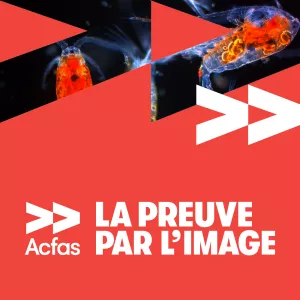 La preuve par l'image 2024 : votez pour votre image préférée!