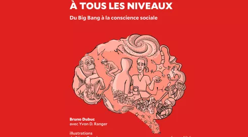 Notre cerveau à tous les niveaux