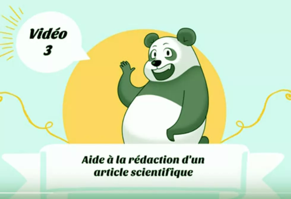 Illustration avec un panda d&#039;un programme de rédaction scientifique