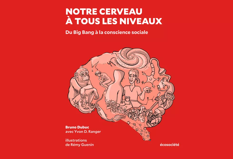 Notre cerveau à tous les niveaux