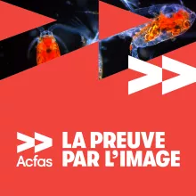 La preuve par l&#039;image - Acfas