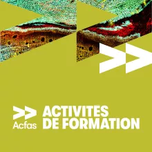 Activités de formation