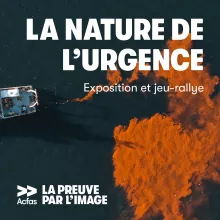 Visuel exposition La nature de l'urgence